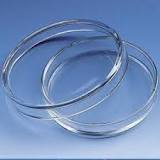 PLACA PETRI 150X20MM S/ DIVISAO VIDRO C/6 C/24